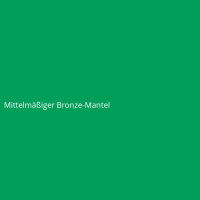Mittelmäßiger Bronze-Mantel