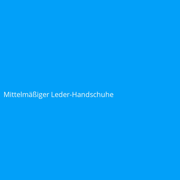 Mittelmäßiger Leder-Handschuhe