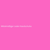 Mittelmäßiger Leder-Handschuhe